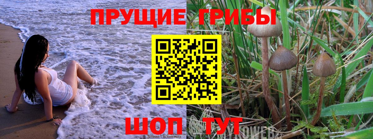 Псилоцибиновые грибы мухоморы Новороссийск