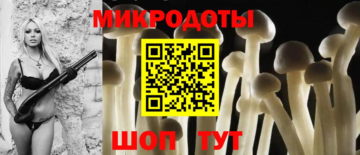 Новороссийск  наркота  Галлюциногенные грибы Magic Shrooms  Вход с VPN  Псилоцибиновые грибы ЛСД 